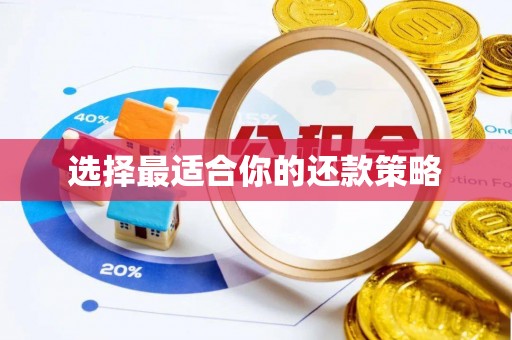 介休选择最适合你的还款策略